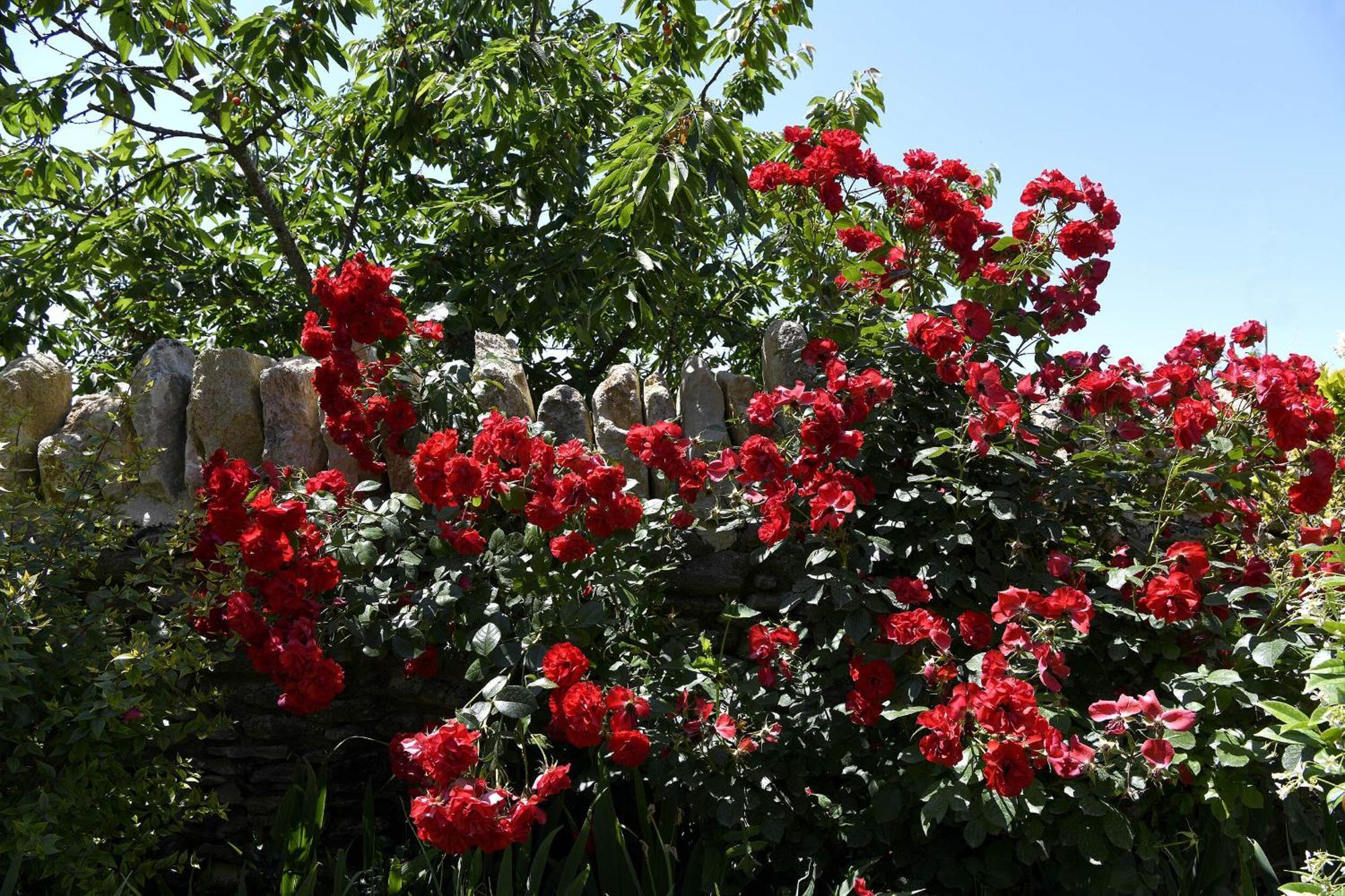 Bastide Des Demoiselles Bed & Breakfast Roussillon en Isere Eksteriør bilde