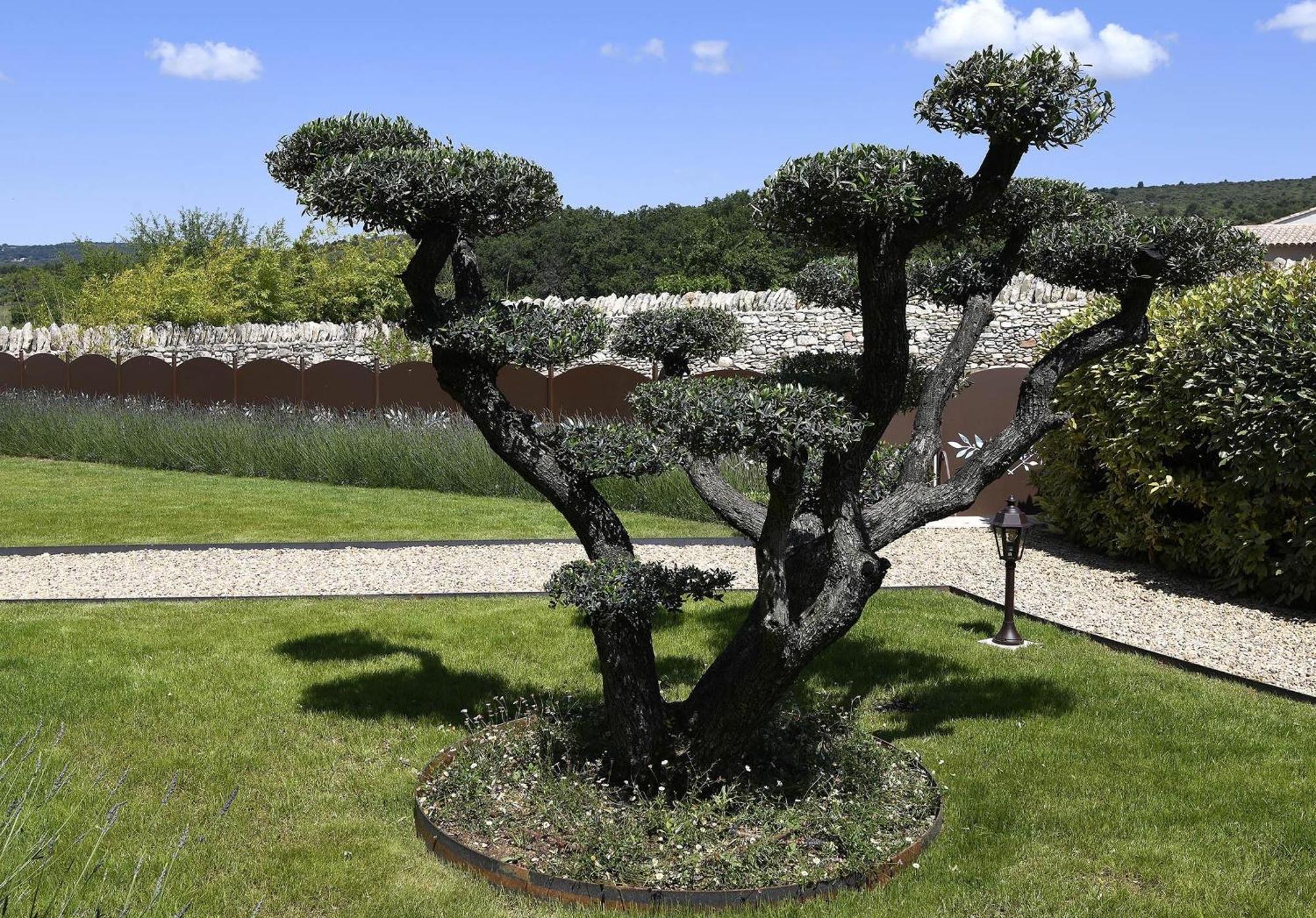 Bastide Des Demoiselles Bed & Breakfast Roussillon en Isere Eksteriør bilde
